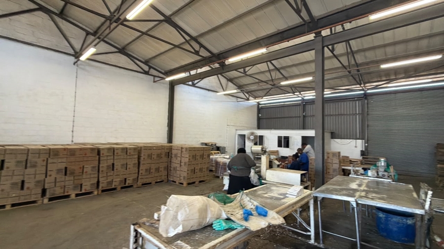 To Let Commercial Property for Rent in Everite Industria Western Cape